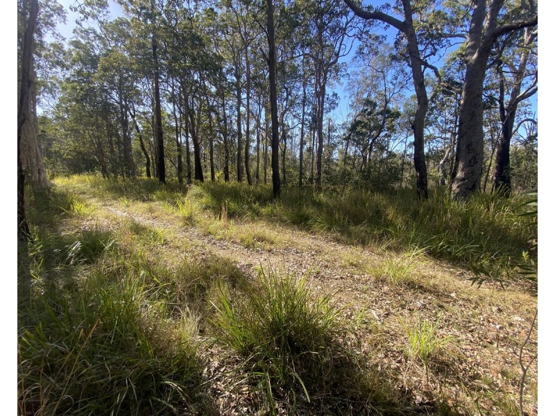 Lot 1,  Wooli Road, Wooli NSW 2462