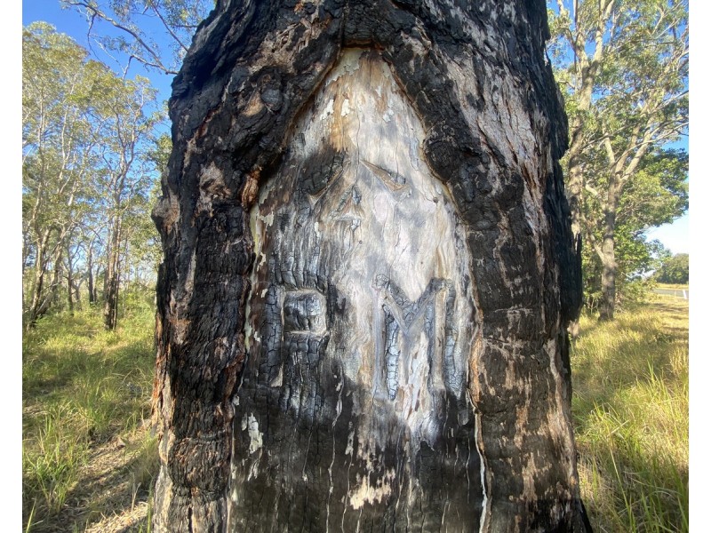 Lot 1,  Wooli Road, Wooli NSW 2462