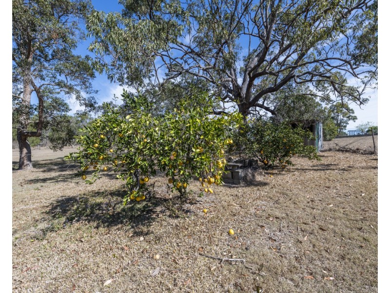 15 Whiting Drive, Seelands NSW 2460