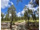 199 Glens Creek Road, Nymboida NSW 2460