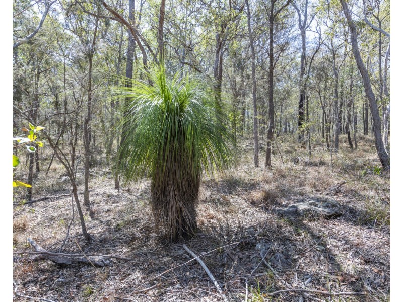 870 Clarence Way, Whiteman Creek NSW 2460