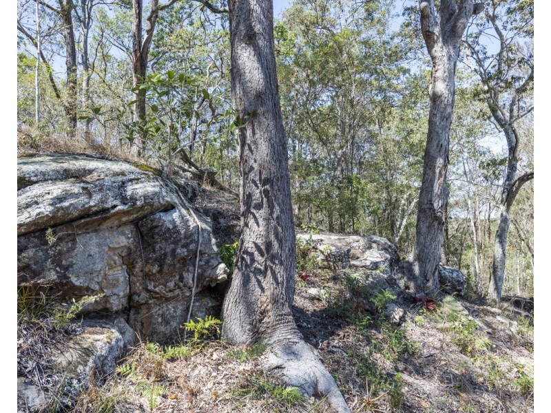 870 Clarence Way, Whiteman Creek NSW 2460