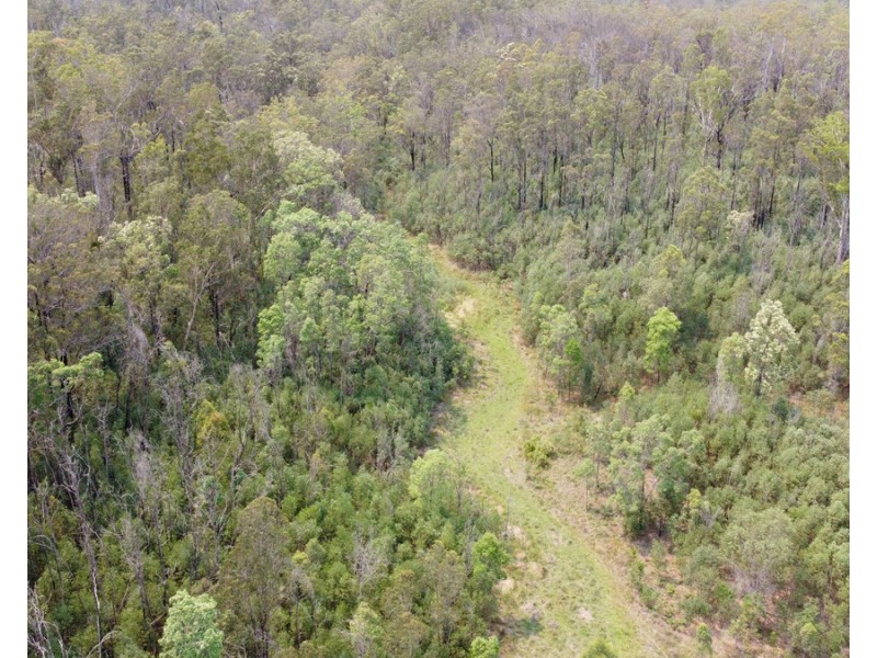 Lot 21, 513 Upper Fine Flower Road, Upper Fine Flower NSW 2460