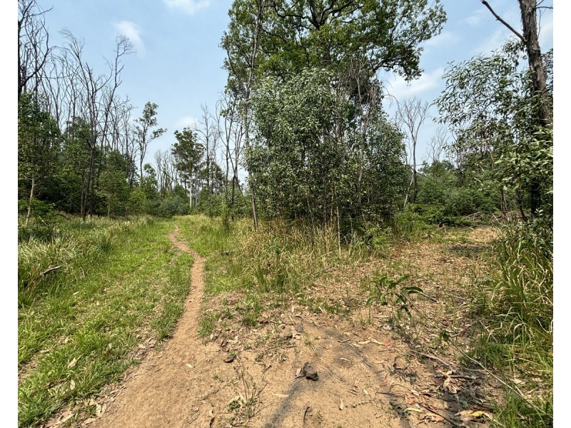 Lot 21, 513 Upper Fine Flower Road, Upper Fine Flower NSW 2460