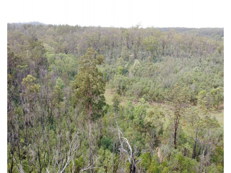 Lot 21, 513 Upper Fine Flower Road, Upper Fine Flower NSW 2460