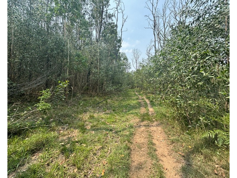 Lot 21, 513 Upper Fine Flower Road, Upper Fine Flower NSW 2460