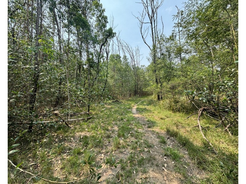 Lot 21, 513 Upper Fine Flower Road, Upper Fine Flower NSW 2460