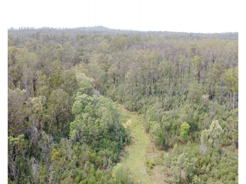 Lot 21, 513 Upper Fine Flower Road, Upper Fine Flower NSW 2460