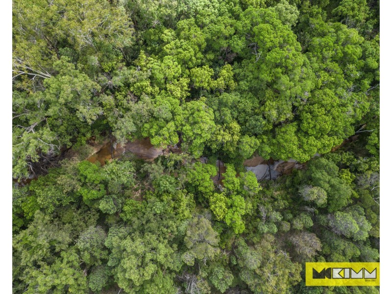 310 Greberts Road, Whiteman Creek NSW 2460