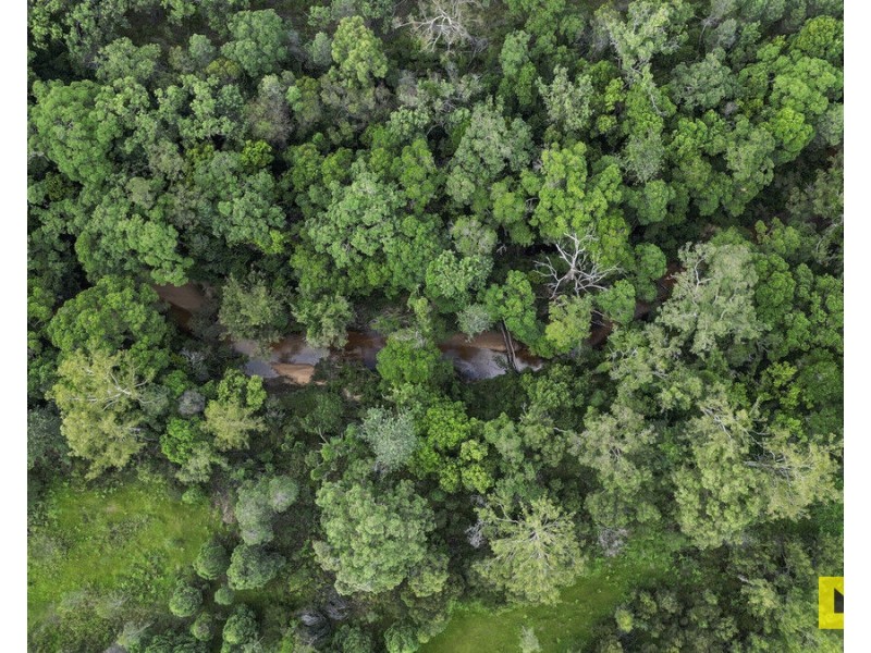 310 Greberts Road, Whiteman Creek NSW 2460