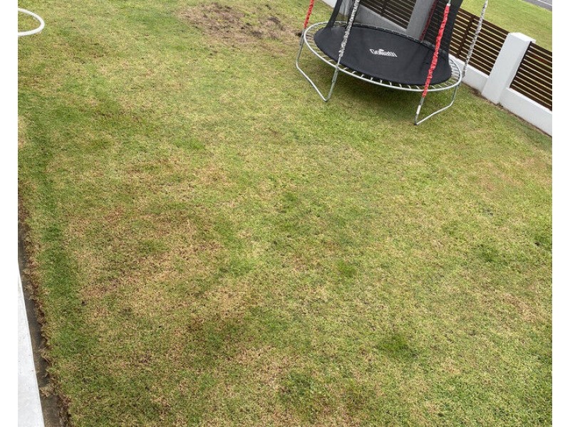 81 Cranworth Street, Grafton NSW 2460