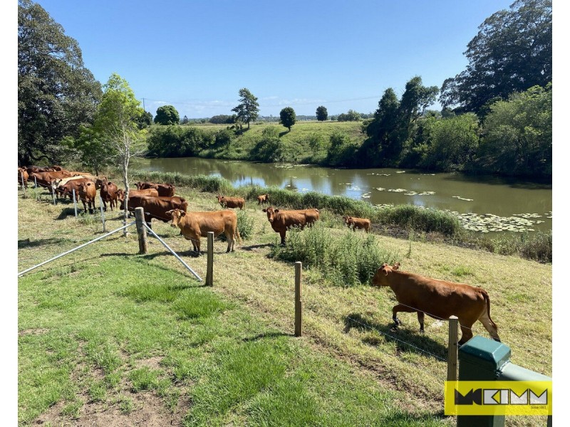 106 Carrs Island Road, Carrs Island NSW 2460