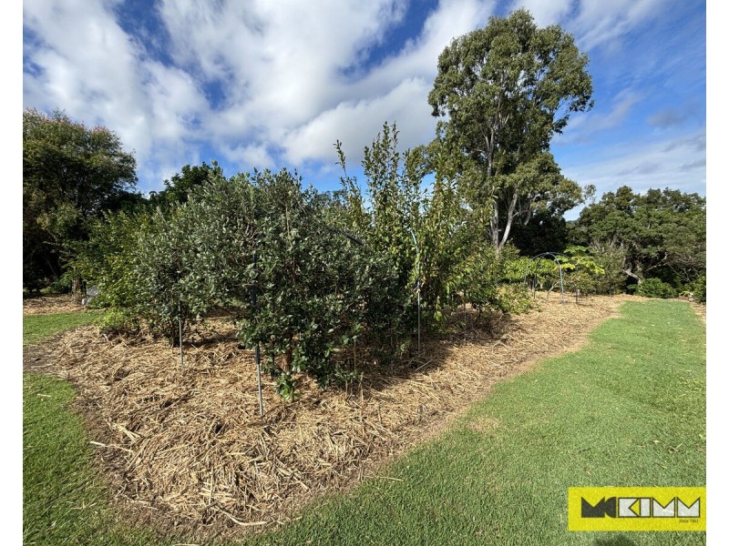 23 Sussex Street, Copmanhurst NSW 2460