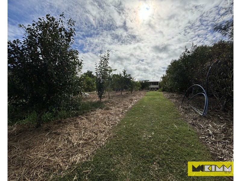 23 Sussex Street, Copmanhurst NSW 2460