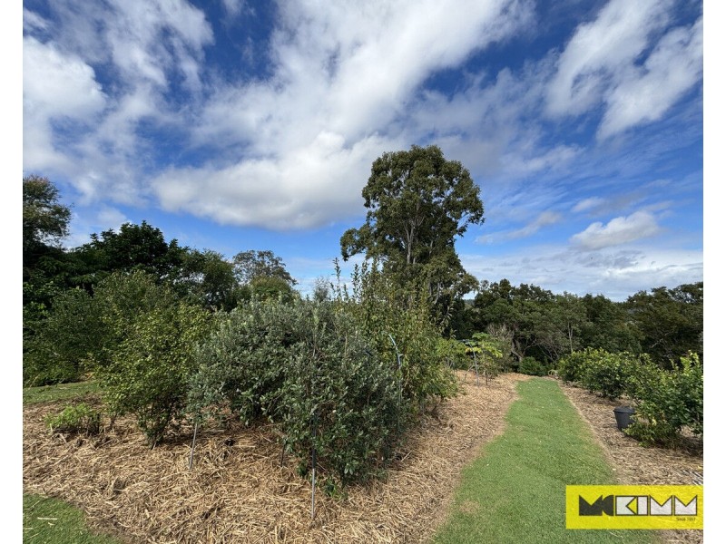 23 Sussex Street, Copmanhurst NSW 2460