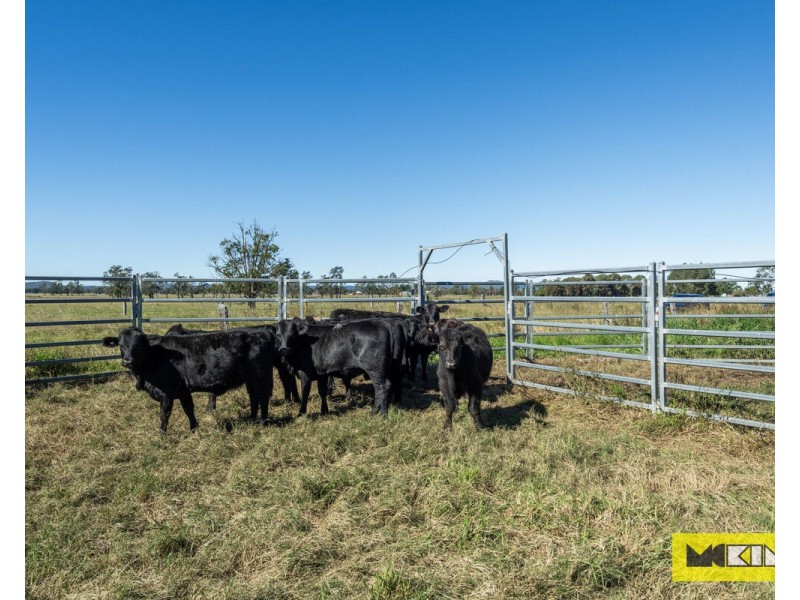 190 Depot Lane, Ulmarra NSW 2462