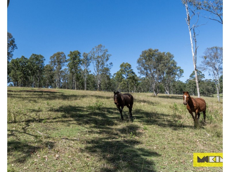 211 Ellandgrove Road, Elland NSW 2460