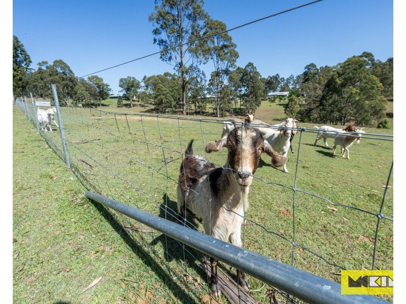 211 Ellandgrove Road, Elland NSW 2460