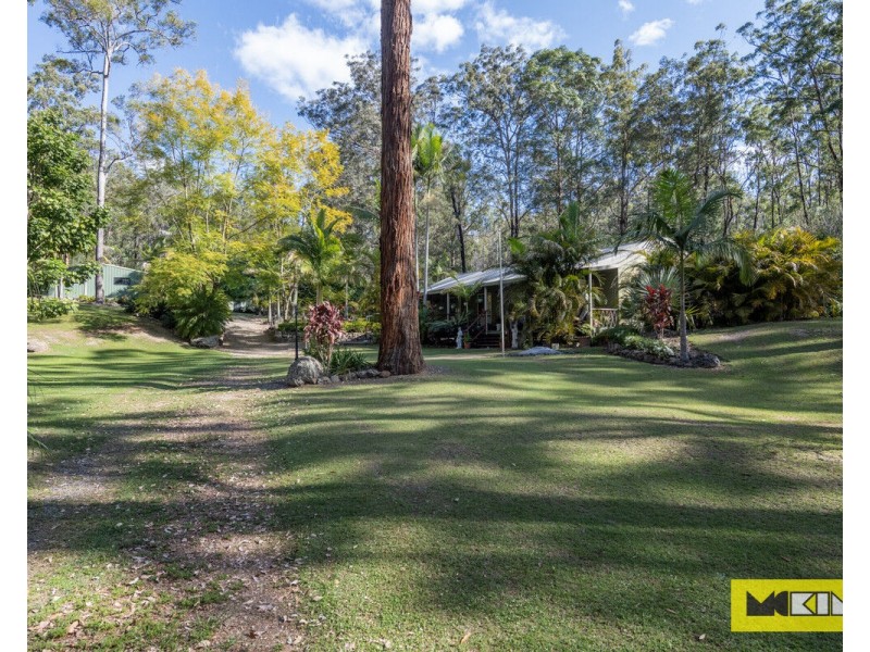 3623 Armidale Road, Nymboida NSW 2460