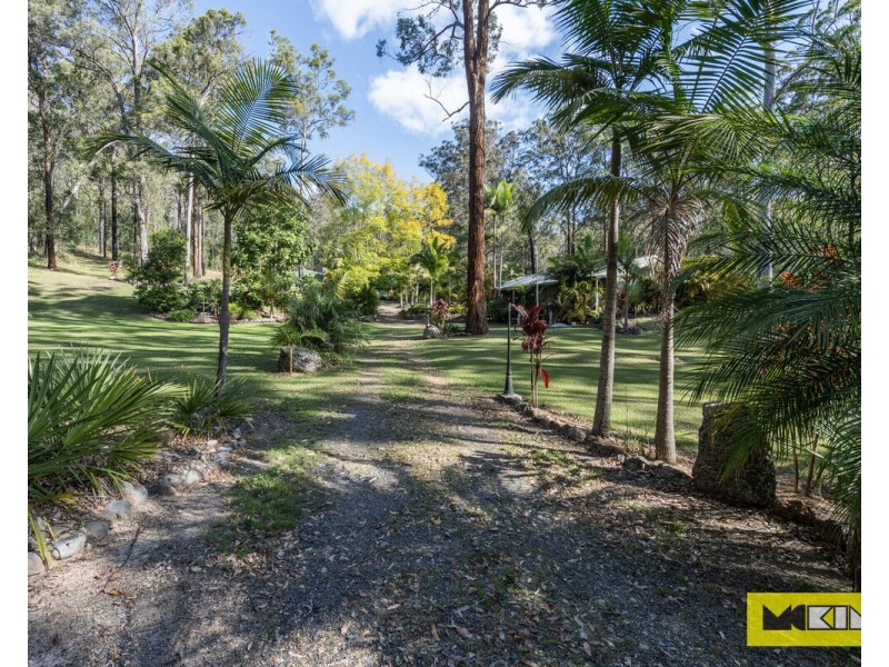 3623 Armidale Road, Nymboida NSW 2460