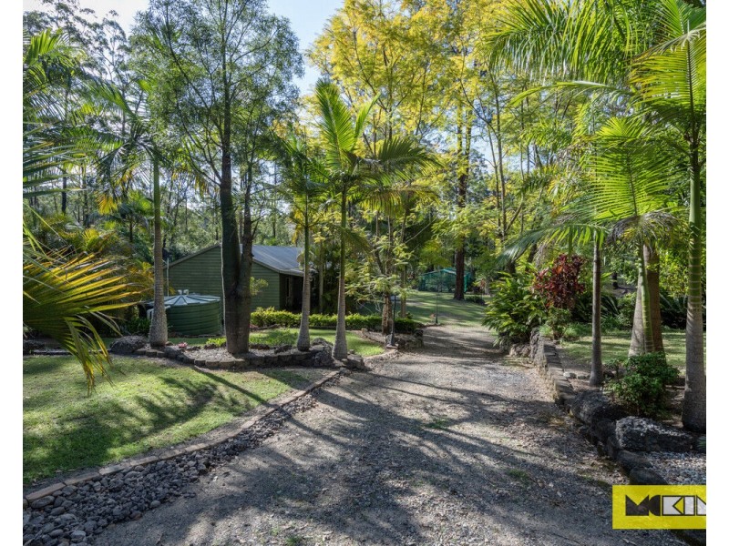 3623 Armidale Road, Nymboida NSW 2460