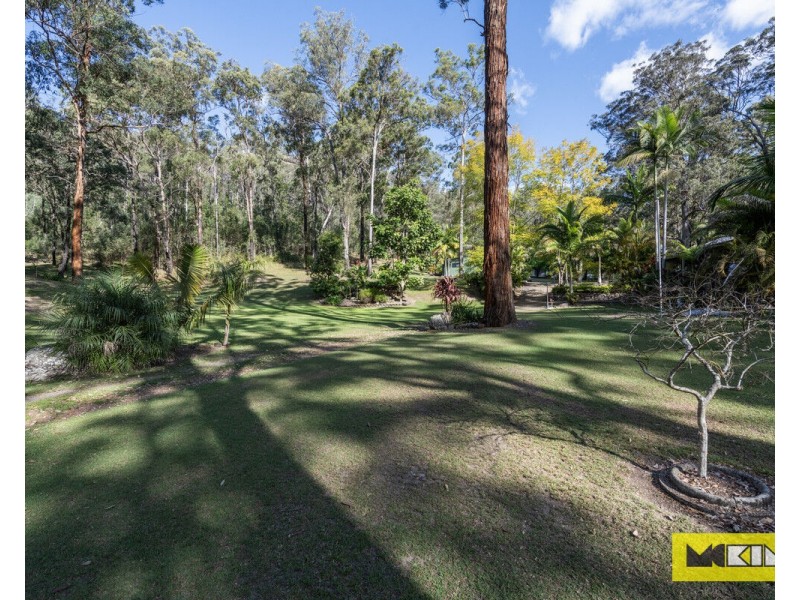 3623 Armidale Road, Nymboida NSW 2460