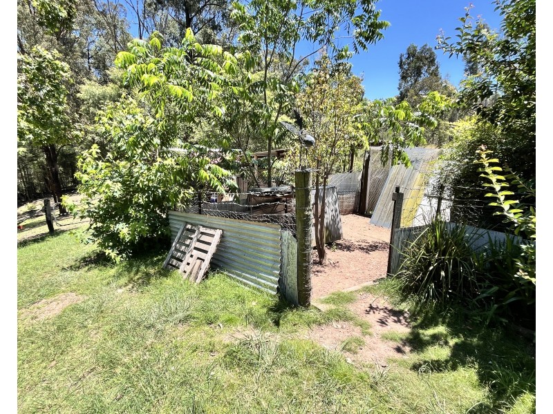 493 Glens Creek Road, Nymboida NSW 2460