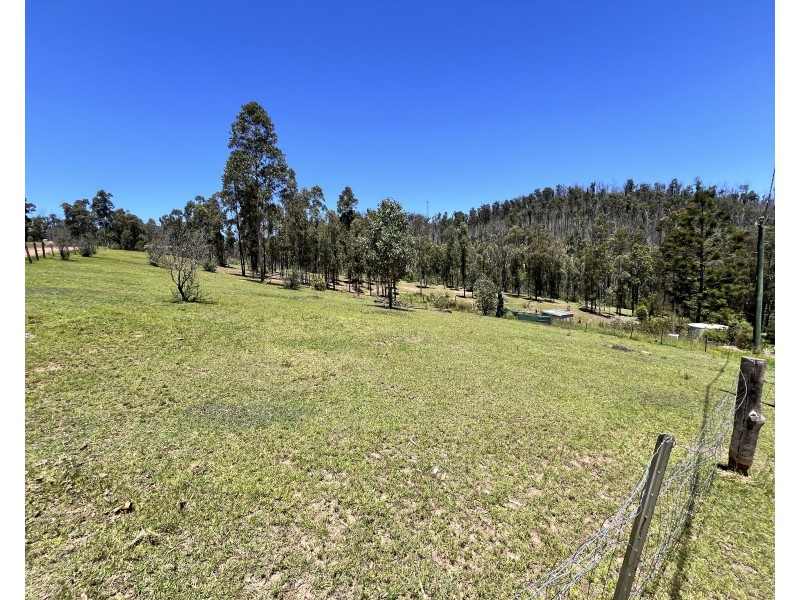 493 Glens Creek Road, Nymboida NSW 2460