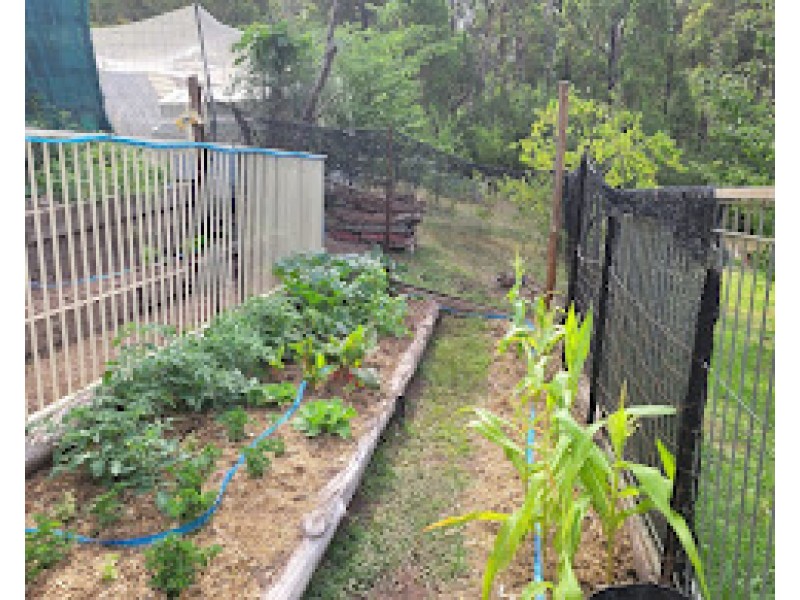 493 Glens Creek Road, Nymboida NSW 2460