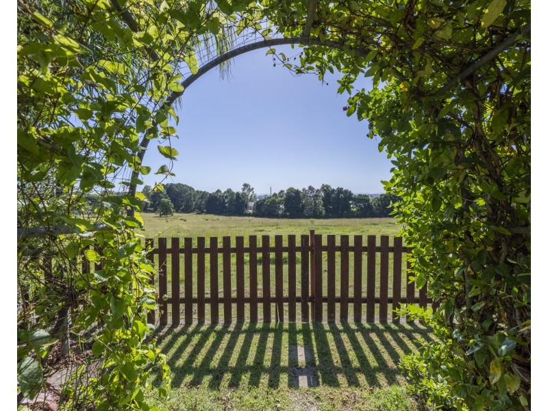 16 Figtree Avenue, Junction Hill NSW 2460