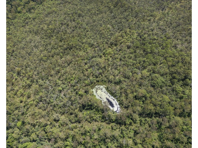 8 Greberts Road, Whiteman Creek NSW 2460