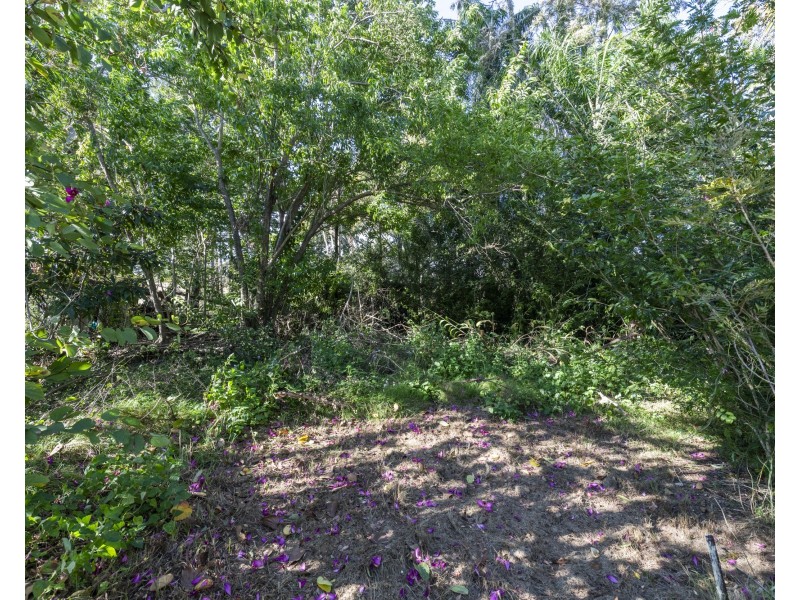 2382 Clarence Way, Upper Copmanhurst NSW 2460