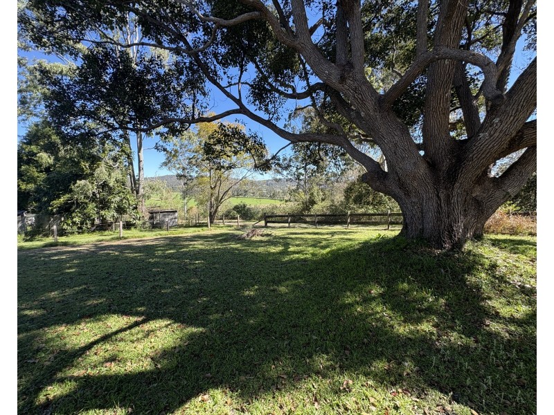 99 Cambridge Street, Copmanhurst NSW 2460