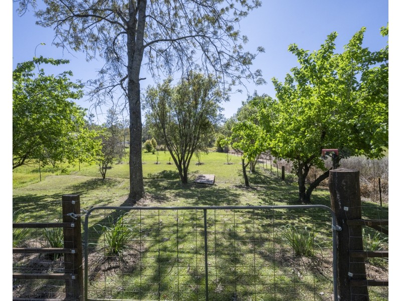 46 Grafton Street, Copmanhurst NSW 2460