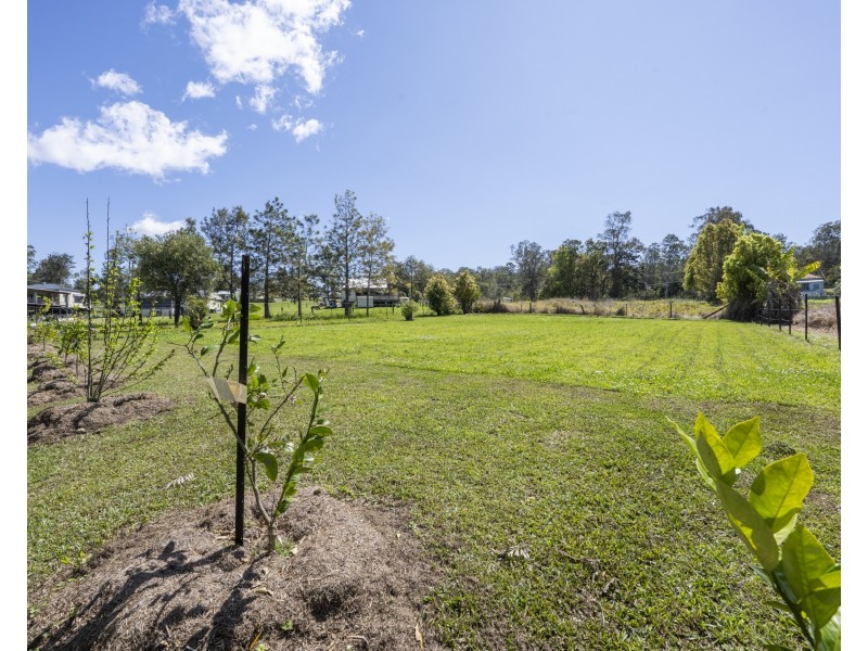 46 Grafton Street, Copmanhurst NSW 2460