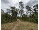 210 Laytons Range Road, Nymboida NSW 2460