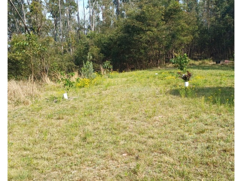 210 Laytons Range Road, Nymboida NSW 2460