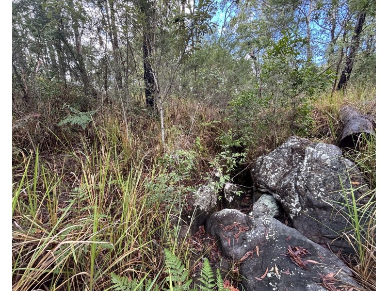 337 Clearview Road, Coutts Crossing NSW 2460