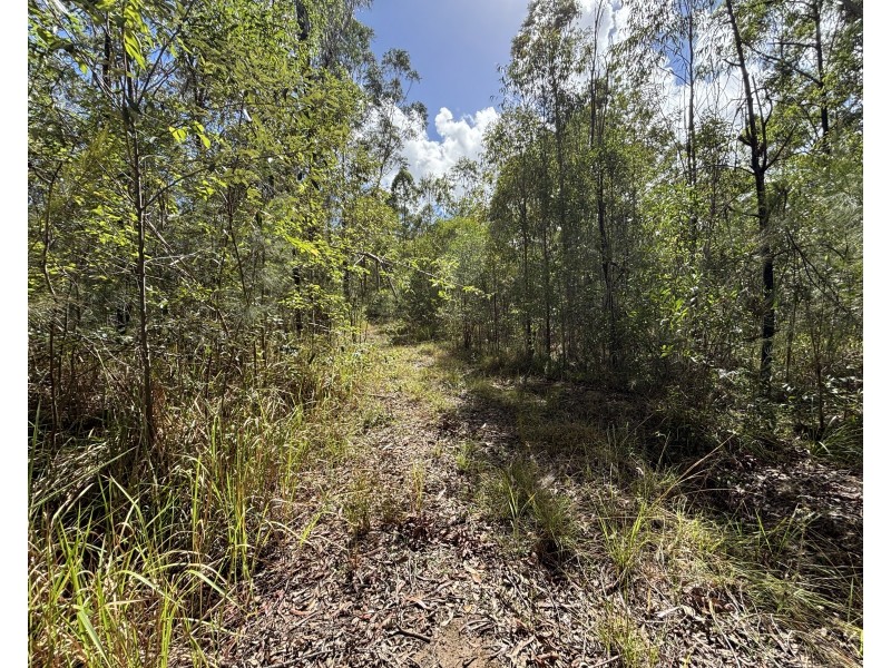 337 Clearview Road, Coutts Crossing NSW 2460