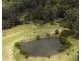 800 Firth Heinz Road, Pillar Valley NSW 2462