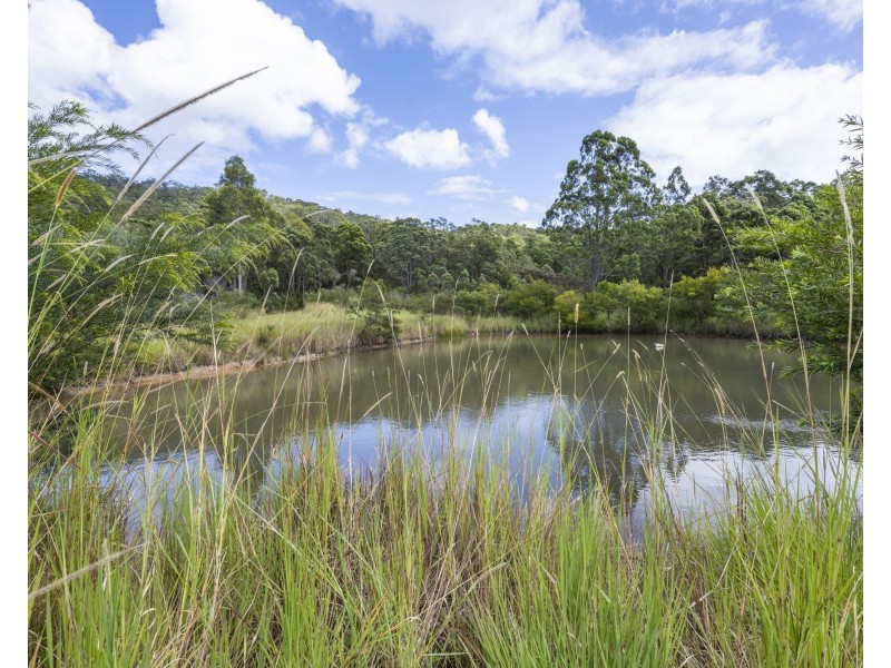 800 Firth Heinz Road, Pillar Valley NSW 2462