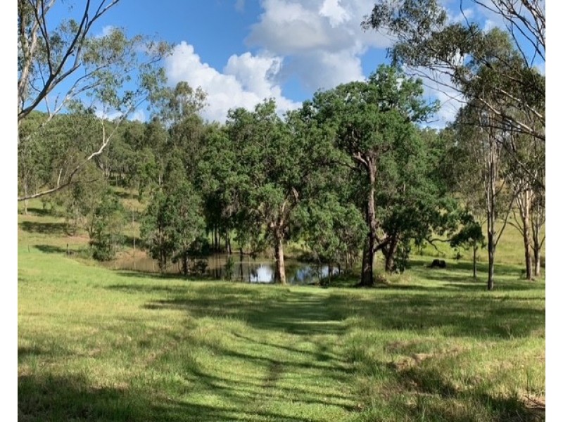 1961A Armidale Road, Coutts Crossing NSW 2460