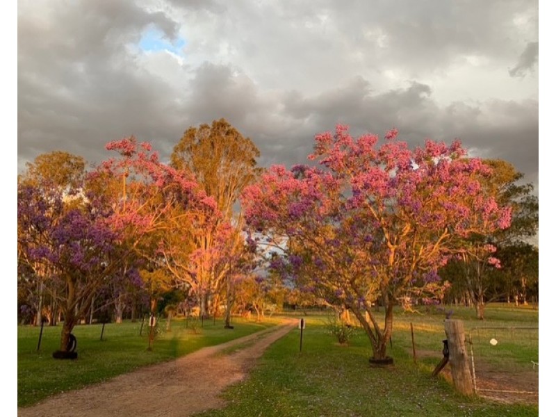 1961A Armidale Road, Coutts Crossing NSW 2460
