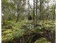 127 Firth Heinz Road, Pillar Valley NSW 2462