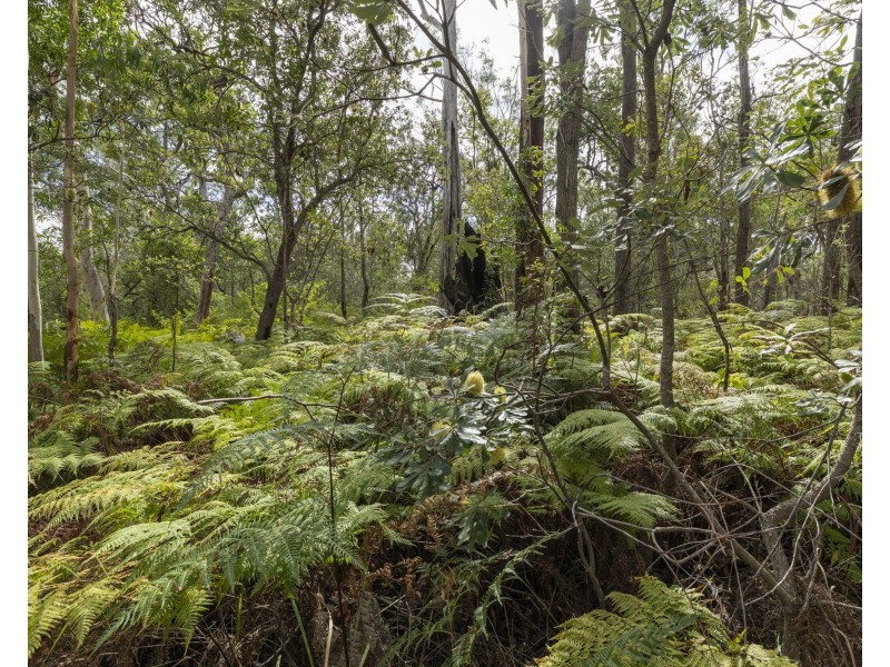 127 Firth Heinz Road, Pillar Valley NSW 2462