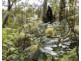 127 Firth Heinz Road, Pillar Valley NSW 2462