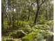 127 Firth Heinz Road, Pillar Valley NSW 2462