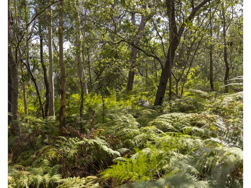 127 Firth Heinz Road, Pillar Valley NSW 2462