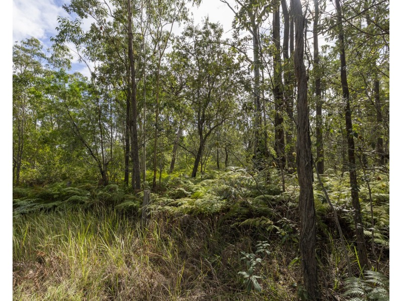 127 Firth Heinz Road, Pillar Valley NSW 2462