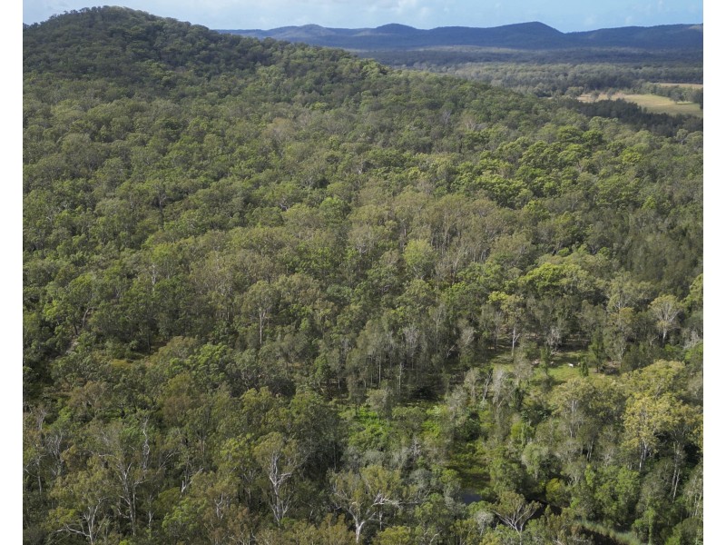127 Firth Heinz Road, Pillar Valley NSW 2462